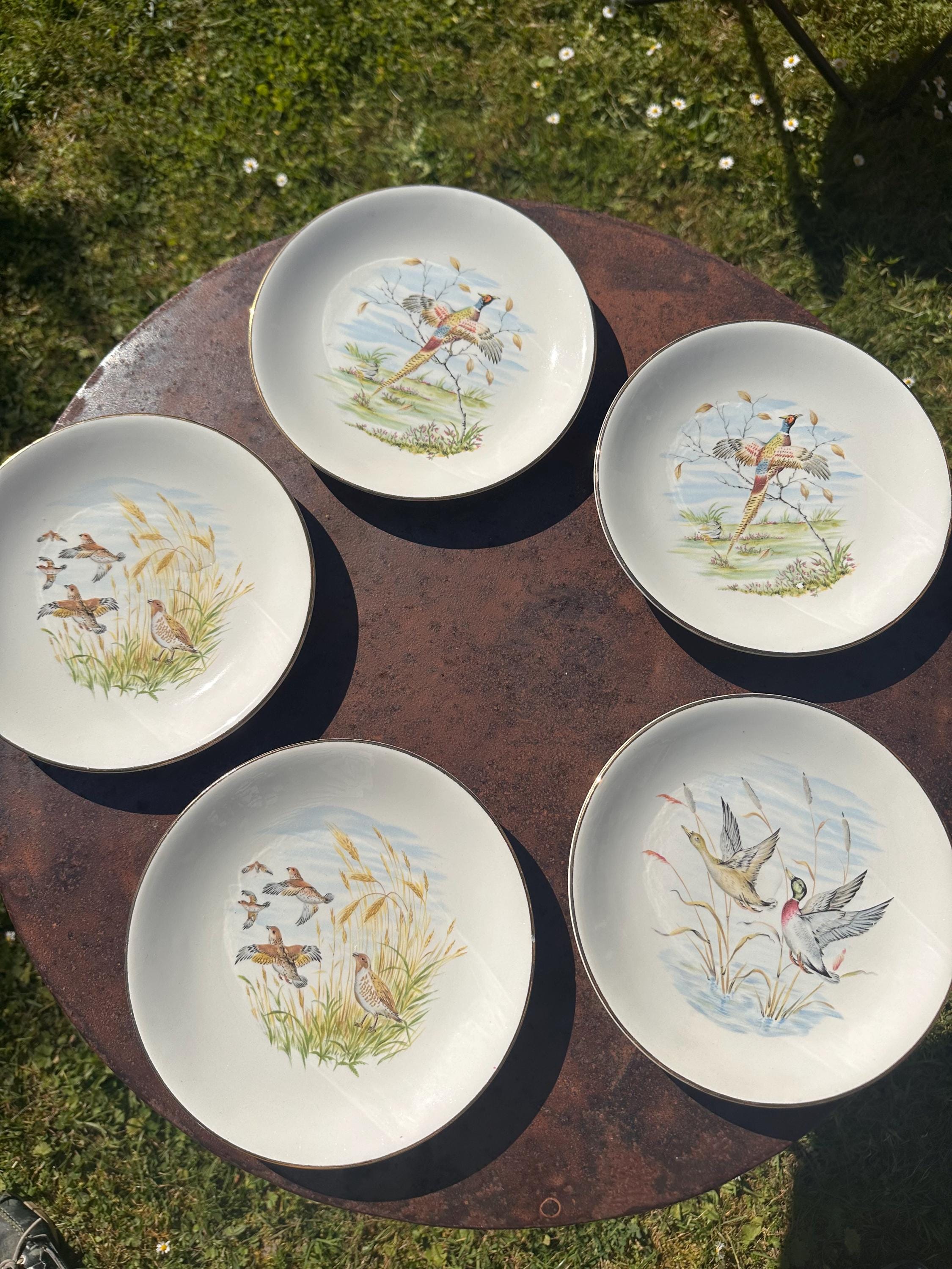 Vintage Gien France Plates - "Game Decor" Primefleur Collection Fine Earthenware, Hunting Birds - French Tableware - Set of 5