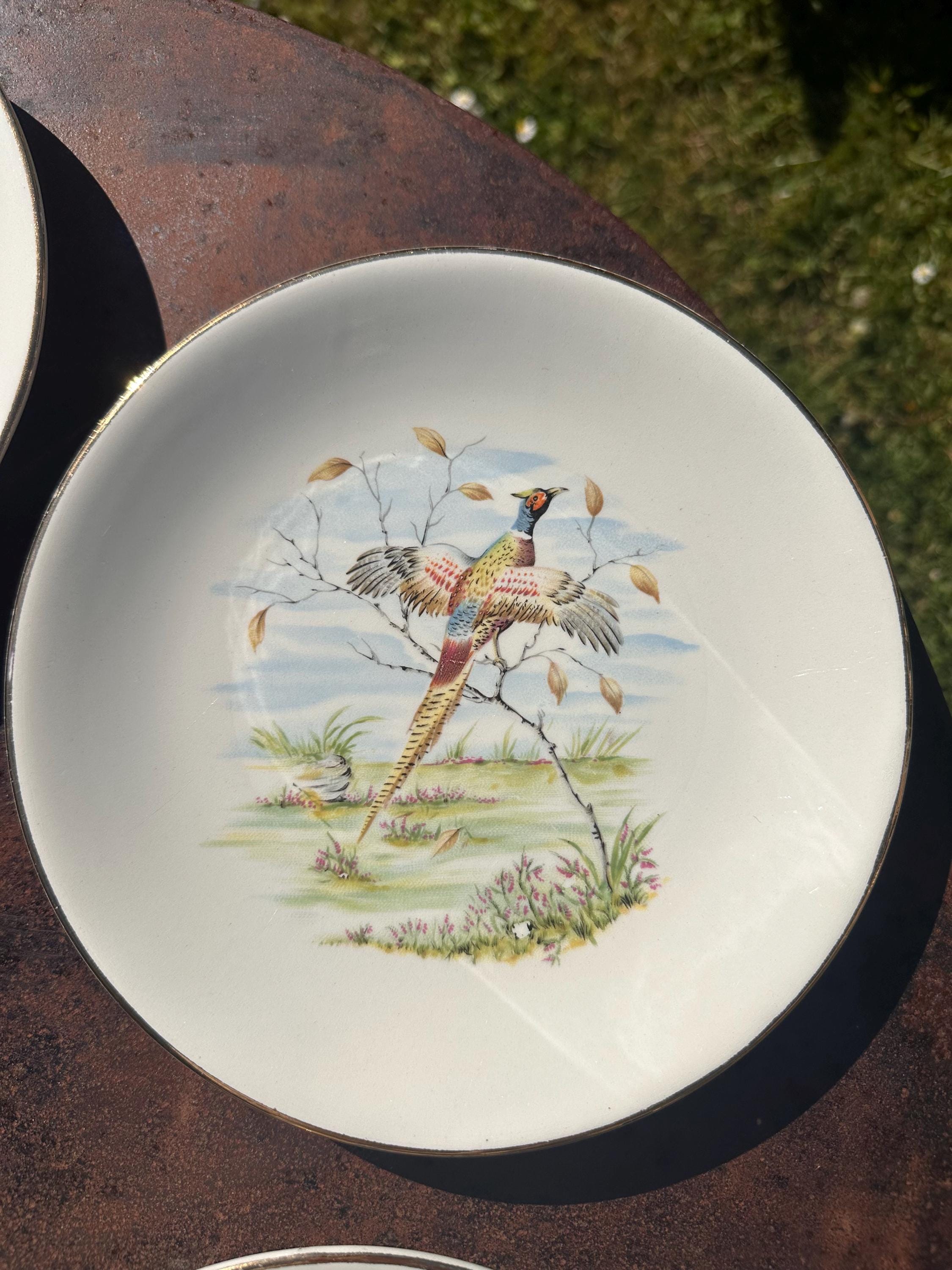Vintage Gien France Plates - "Game Decor" Primefleur Collection Fine Earthenware, Hunting Birds - French Tableware - Set of 5