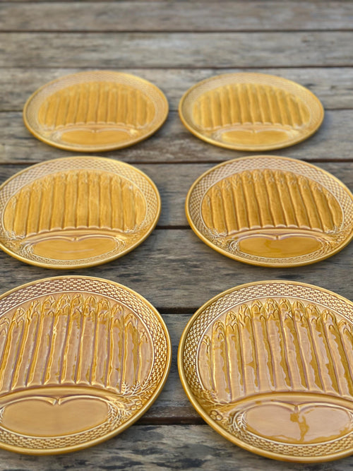 6 antique honey-yellow majolica asparagus plates