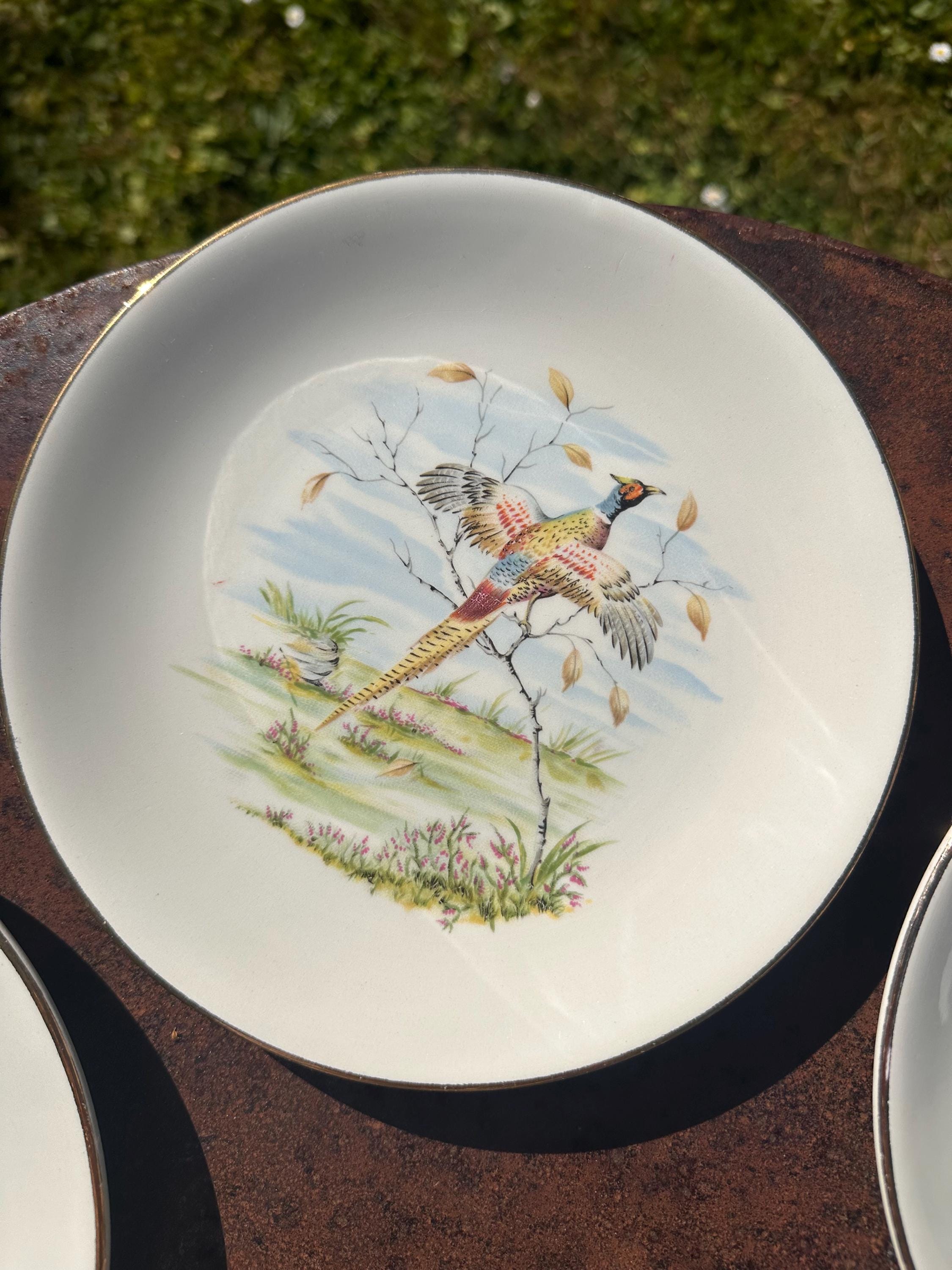 Vintage Gien France Plates - "Game Decor" Primefleur Collection Fine Earthenware, Hunting Birds - French Tableware - Set of 5