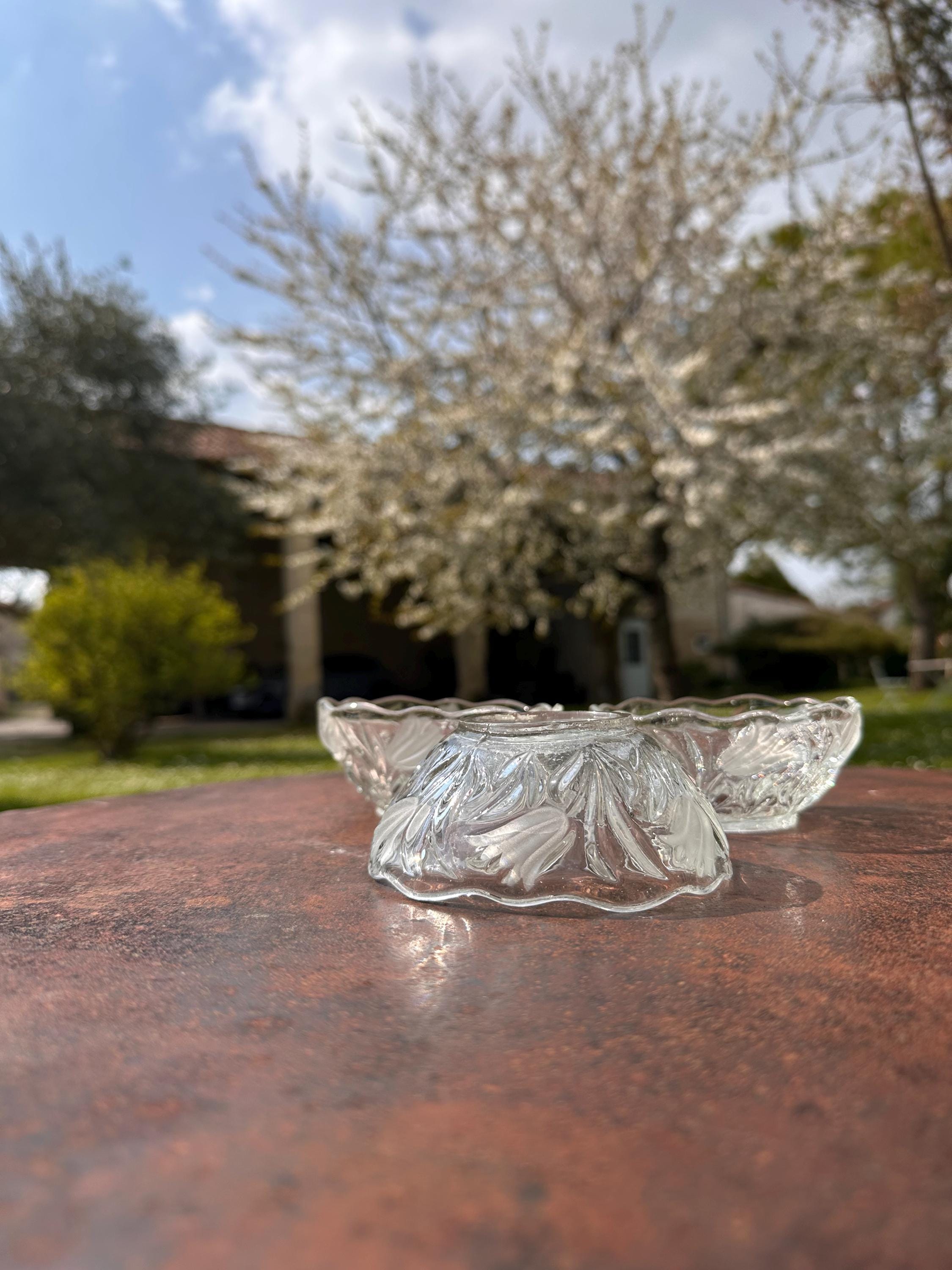 Small Pressed Glass Bowls with Frosted Tulips - Vintage Floral Design Bowls - Retro Tableware Set - Set of 3