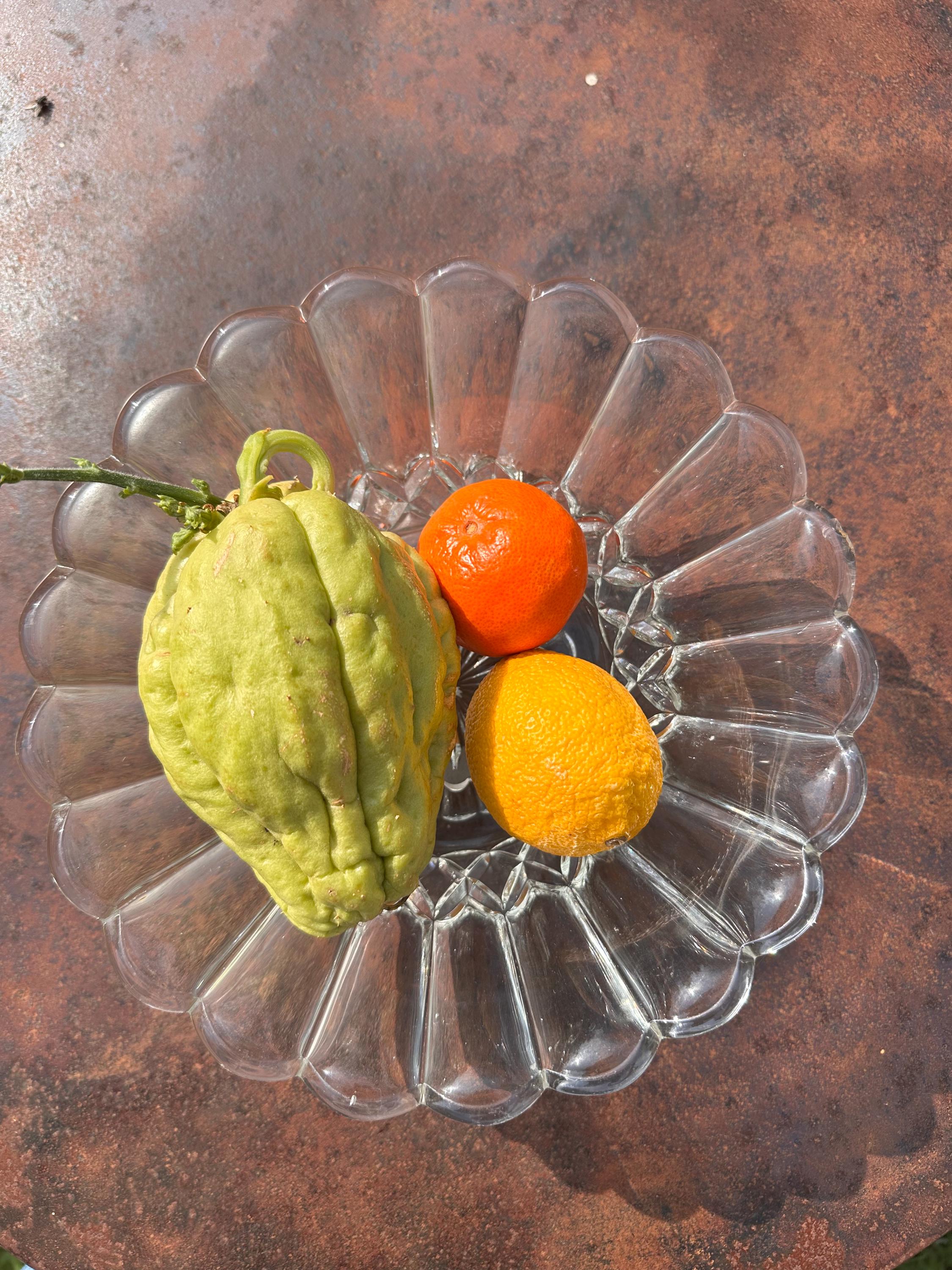 Coupe à fruits tripode en verre vintage – Design rétro