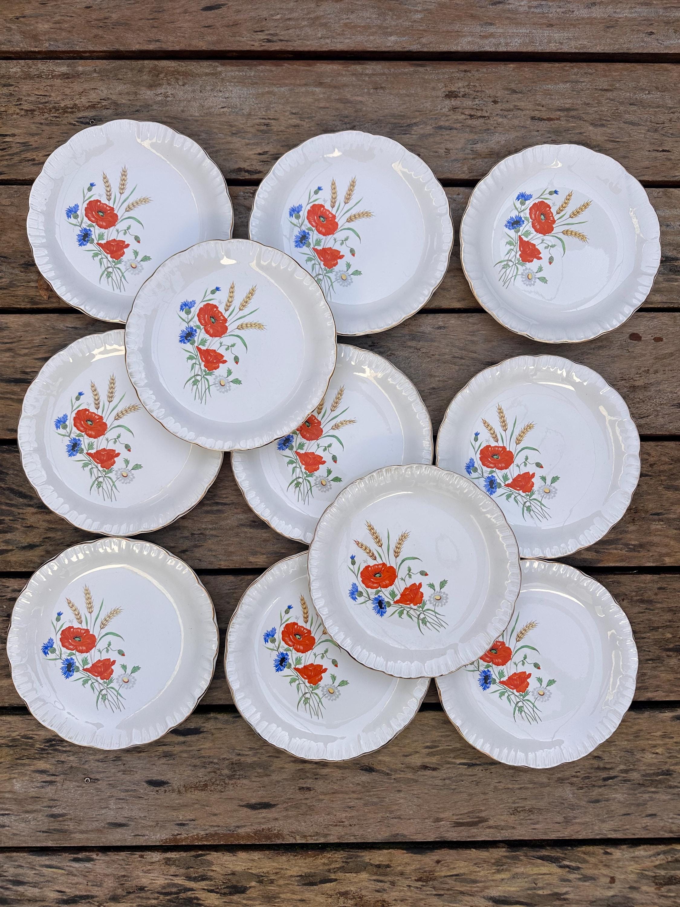 6 assiettes anciennes Digoin & Sarreguemines – Modèle Rapsodie