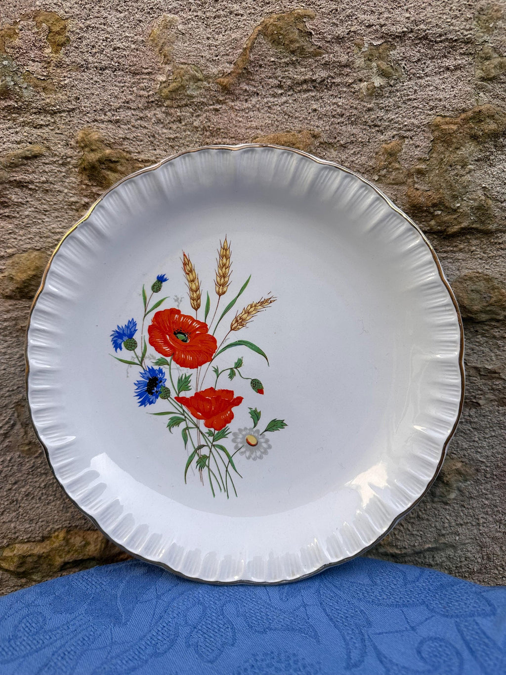 7 assiettes plates anciennes Digoin & Sarreguemines – Modèle Rapsodie