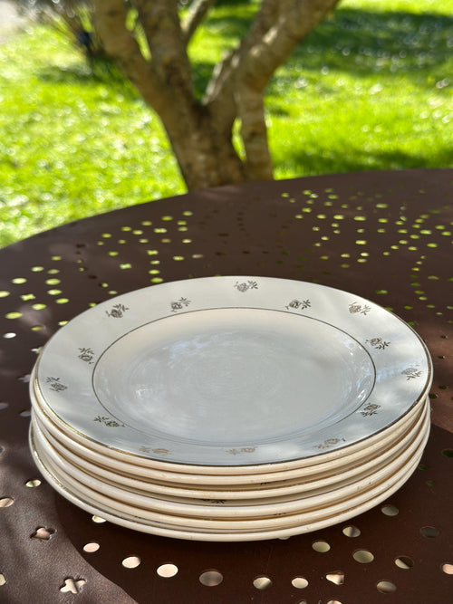 6 Digoin & Sarreguemines dessert plates – Galibier model