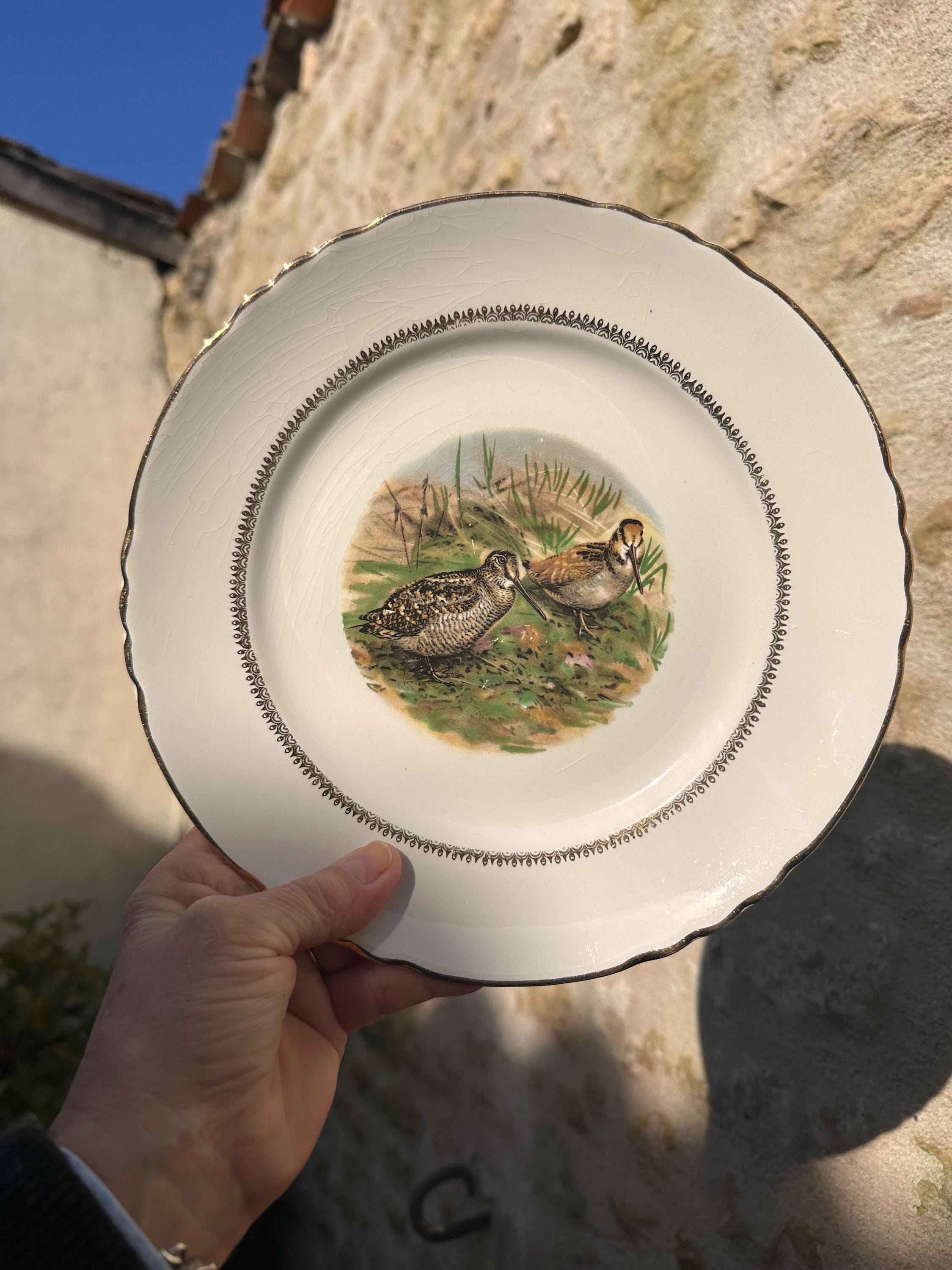 Lot de 10 Assiettes à Gibier Moulin des Loups Orchies, Décor Oiseaux de Chasse