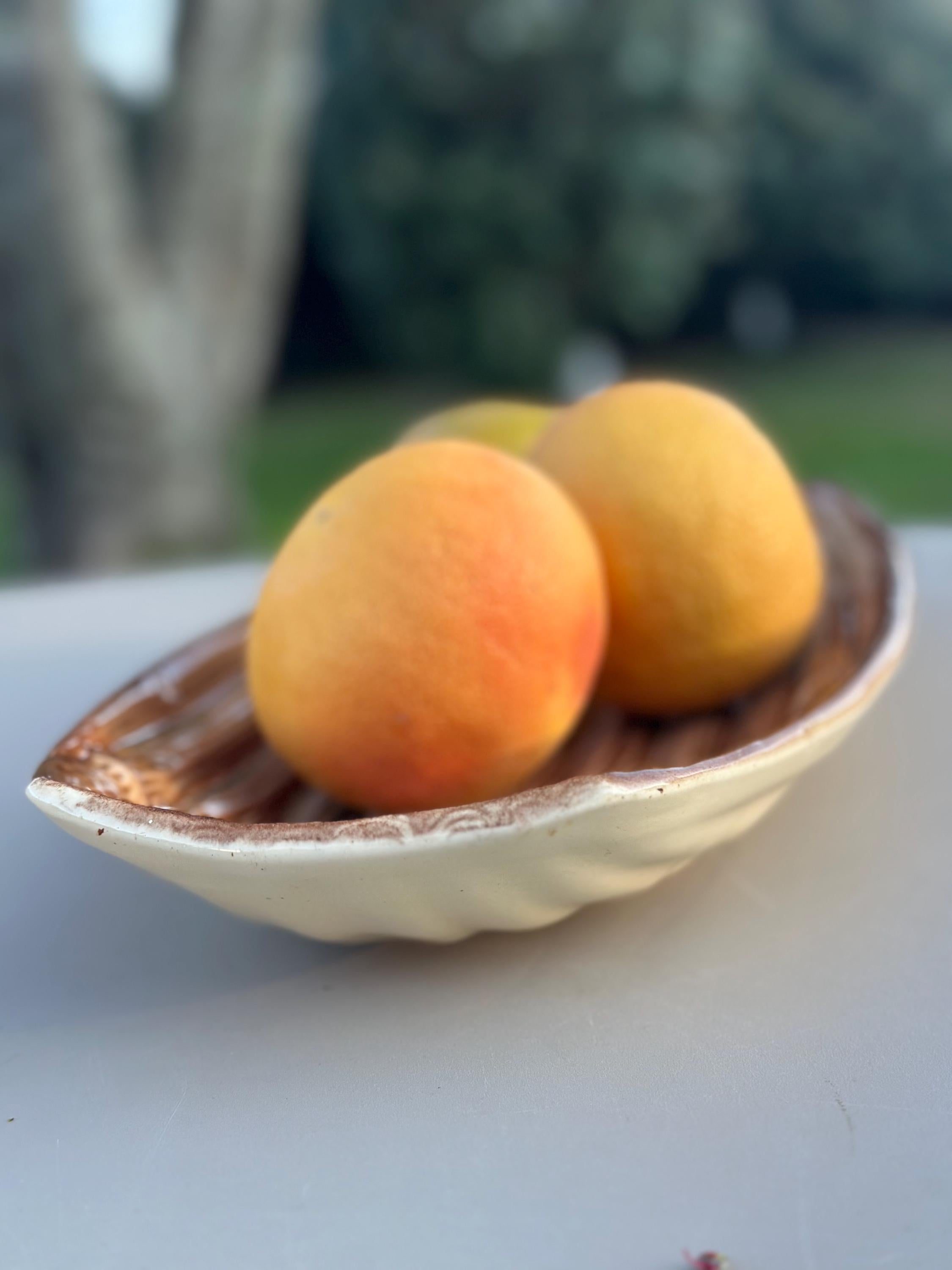 Large antique earthenware serving dish – Saint-Clément "Bamboo"