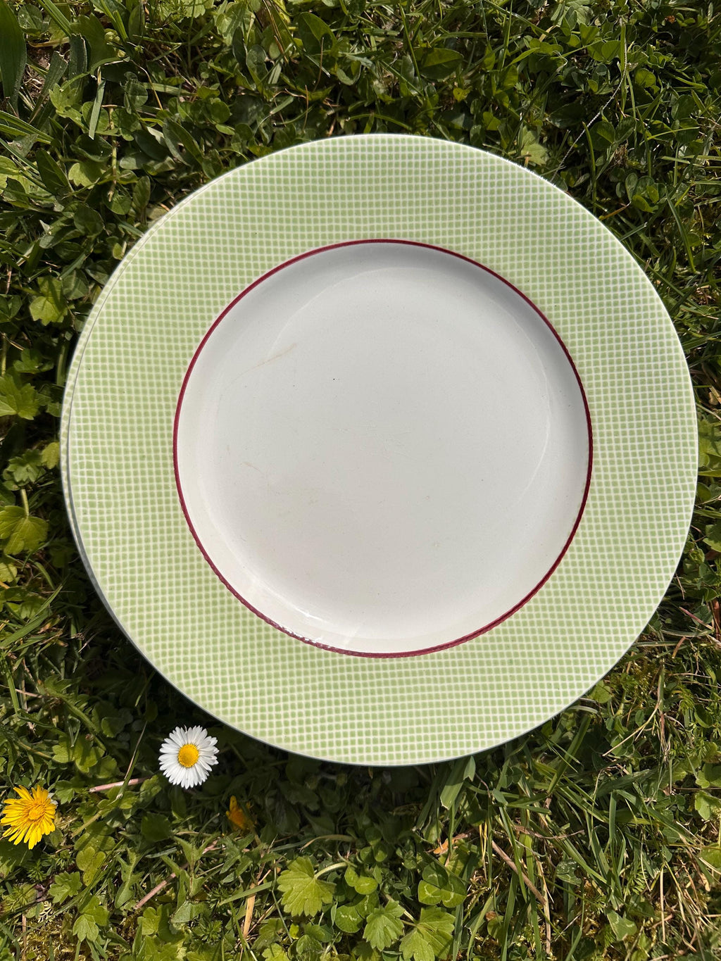 6 assiettes anciennes en faïence de Salins – Modèle Izoard
