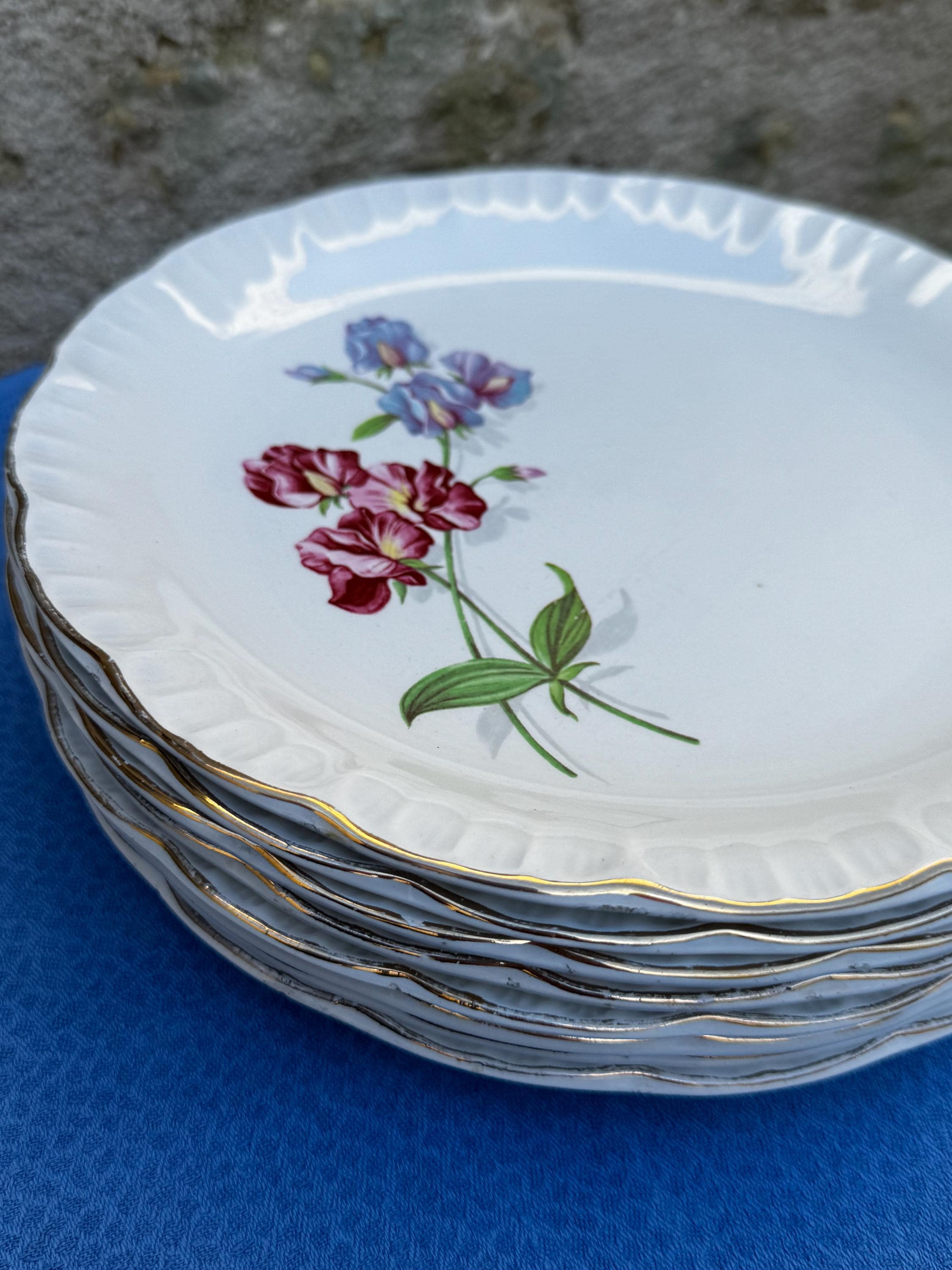 8 antique Digoin & Sarreguemines plates – Cléo pattern
