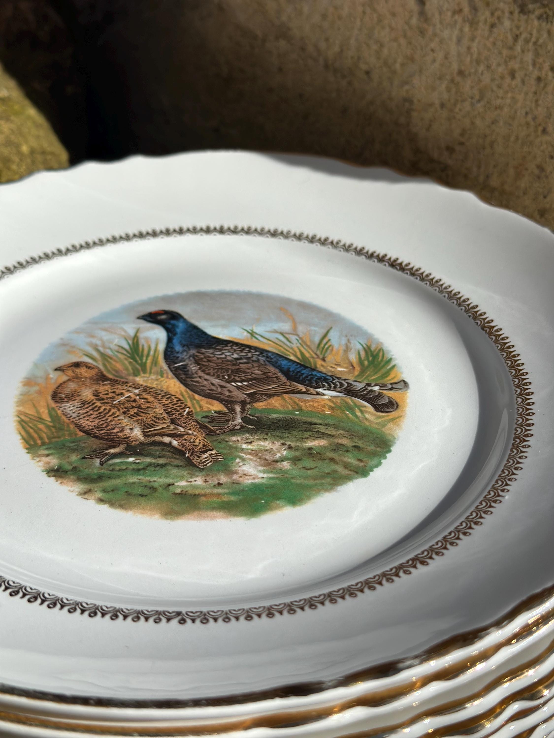 Lot de 10 Assiettes à Gibier Moulin des Loups Orchies, Décor Oiseaux de Chasse
