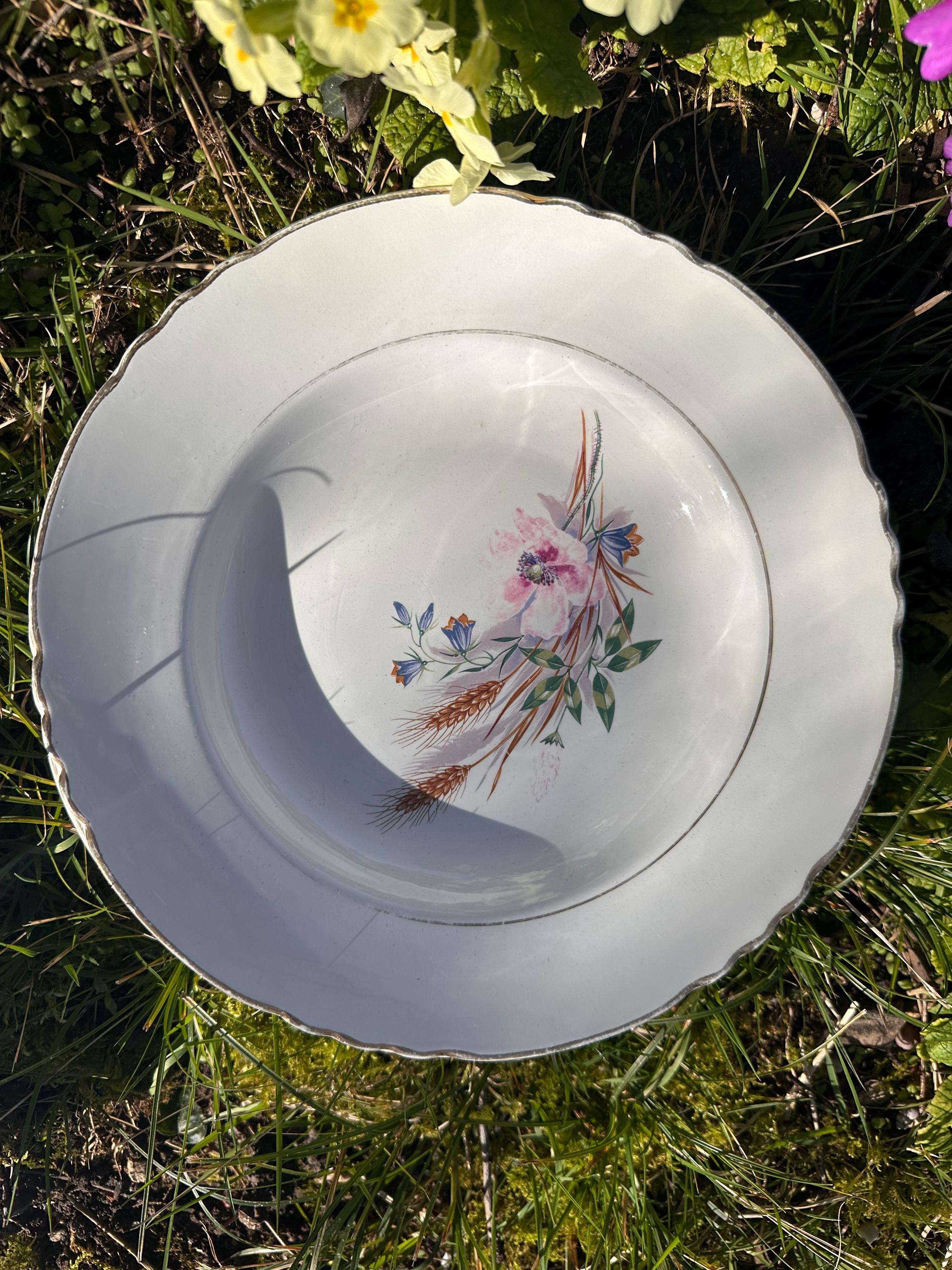 6 assiettes creuses anciennes en porcelaine – Décor champêtre et blé