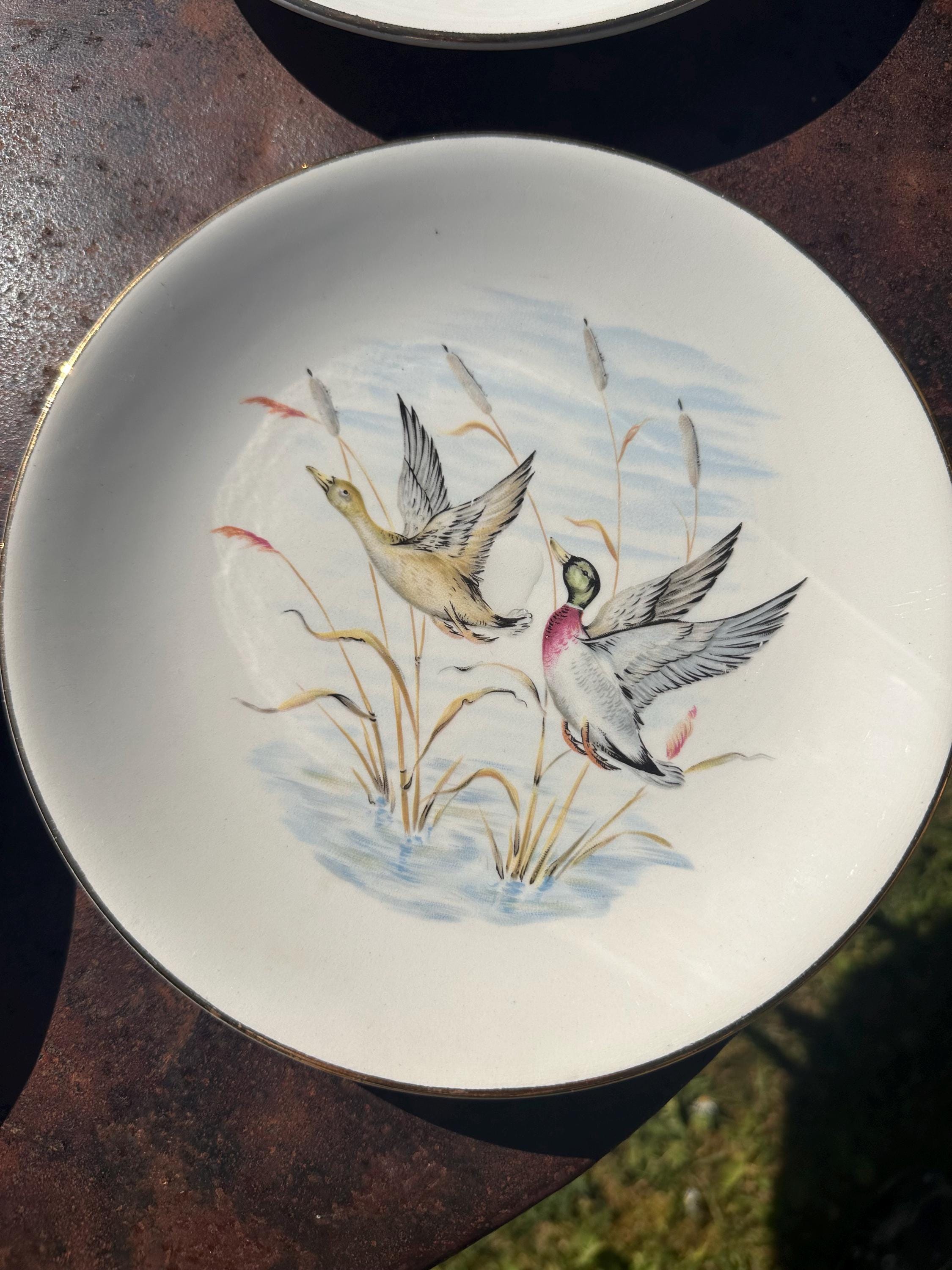 Vintage Gien France Plates - "Game Decor" Primefleur Collection Fine Earthenware, Hunting Birds - French Tableware - Set of 5