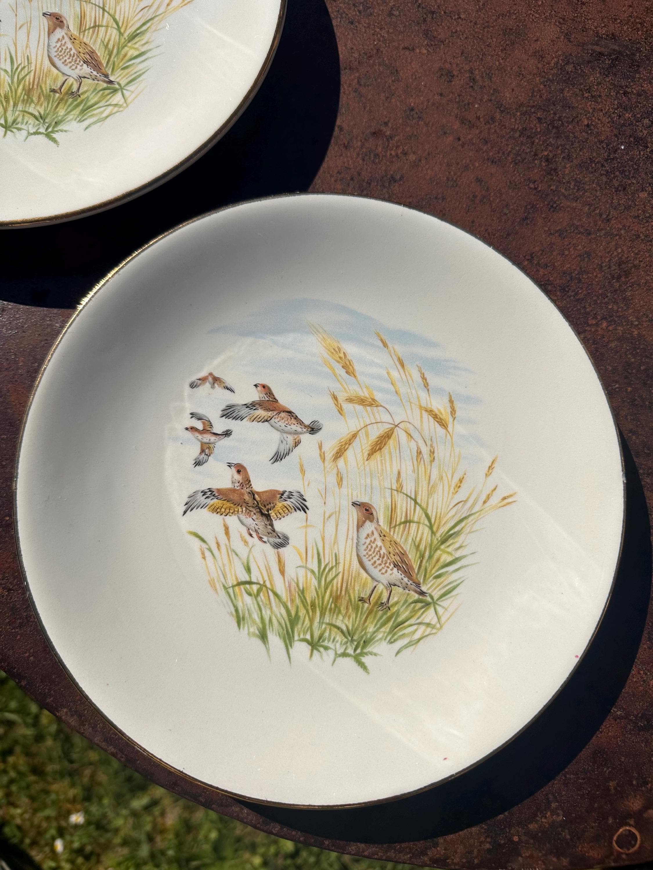 Vintage Gien France Plates - "Game Decor" Primefleur Collection Fine Earthenware, Hunting Birds - French Tableware - Set of 5