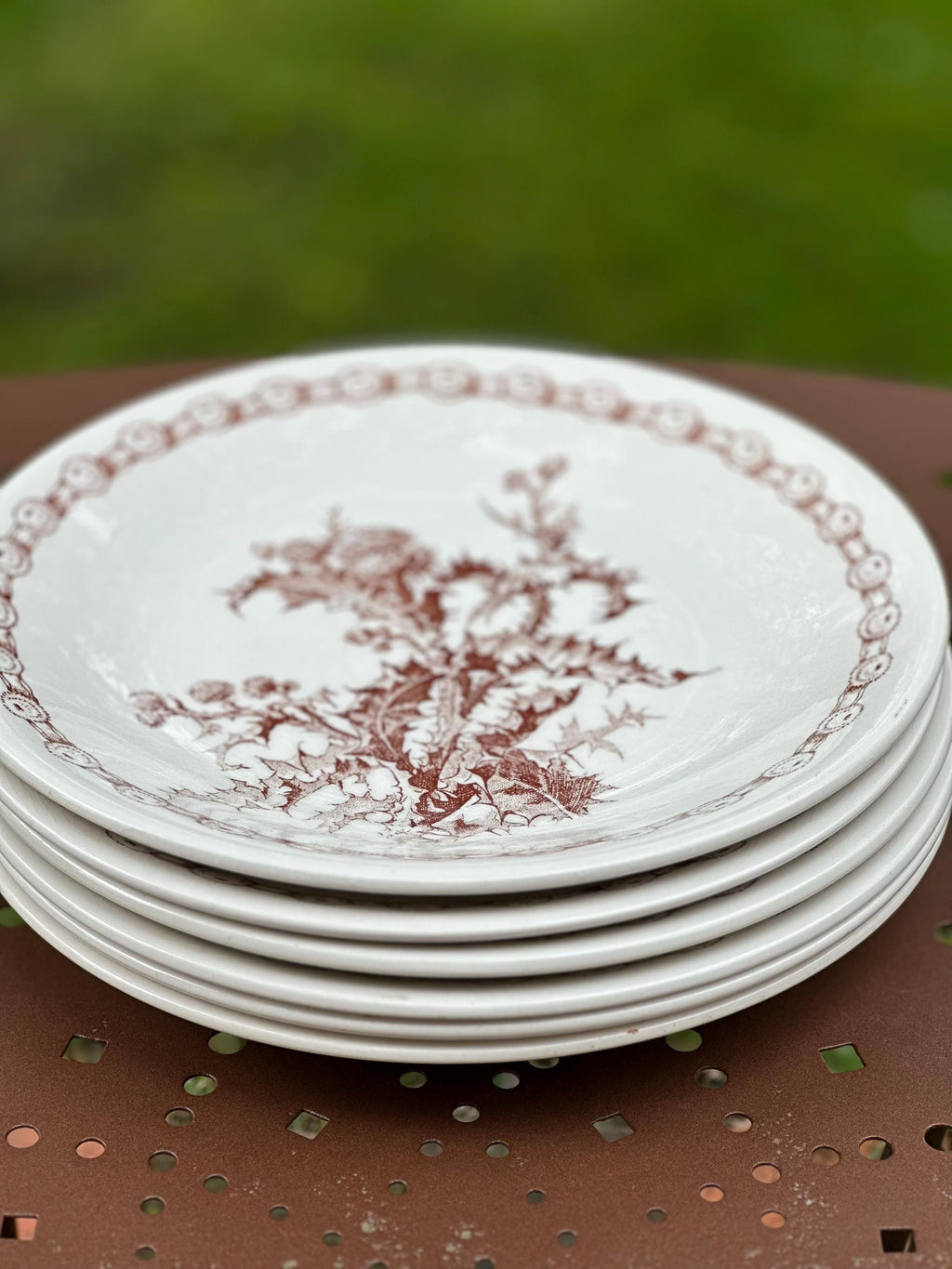 assiettes creuses vintage "Suprême" – Décor chardons marron Lot de 6