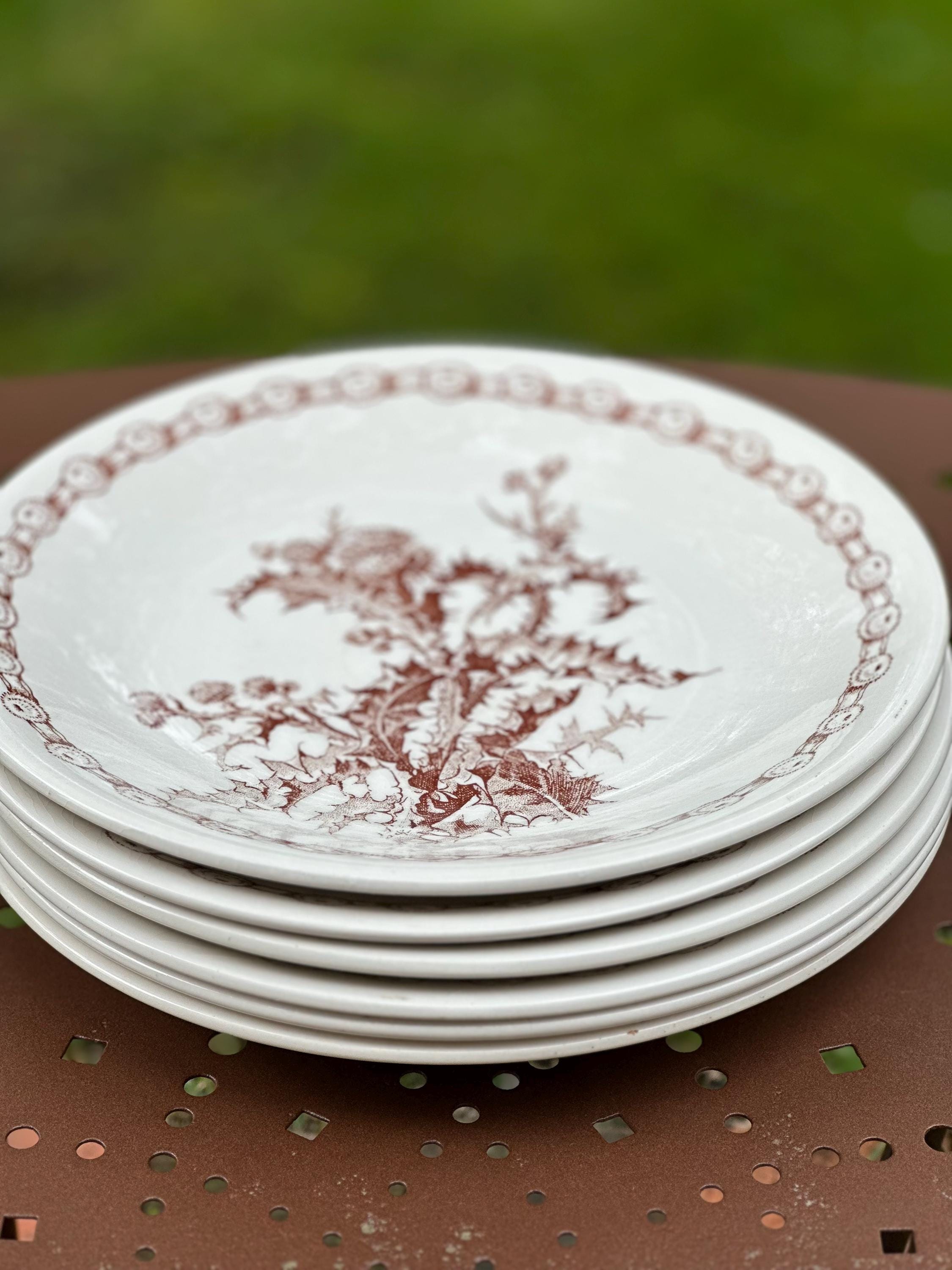 assiettes creuses vintage "Suprême" – Décor chardons marron Lot de 6
