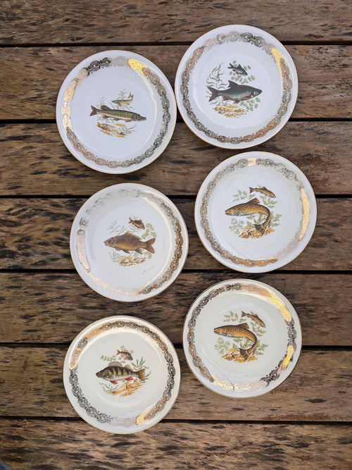 6 antique porcelain fish plates – Gilded lace border