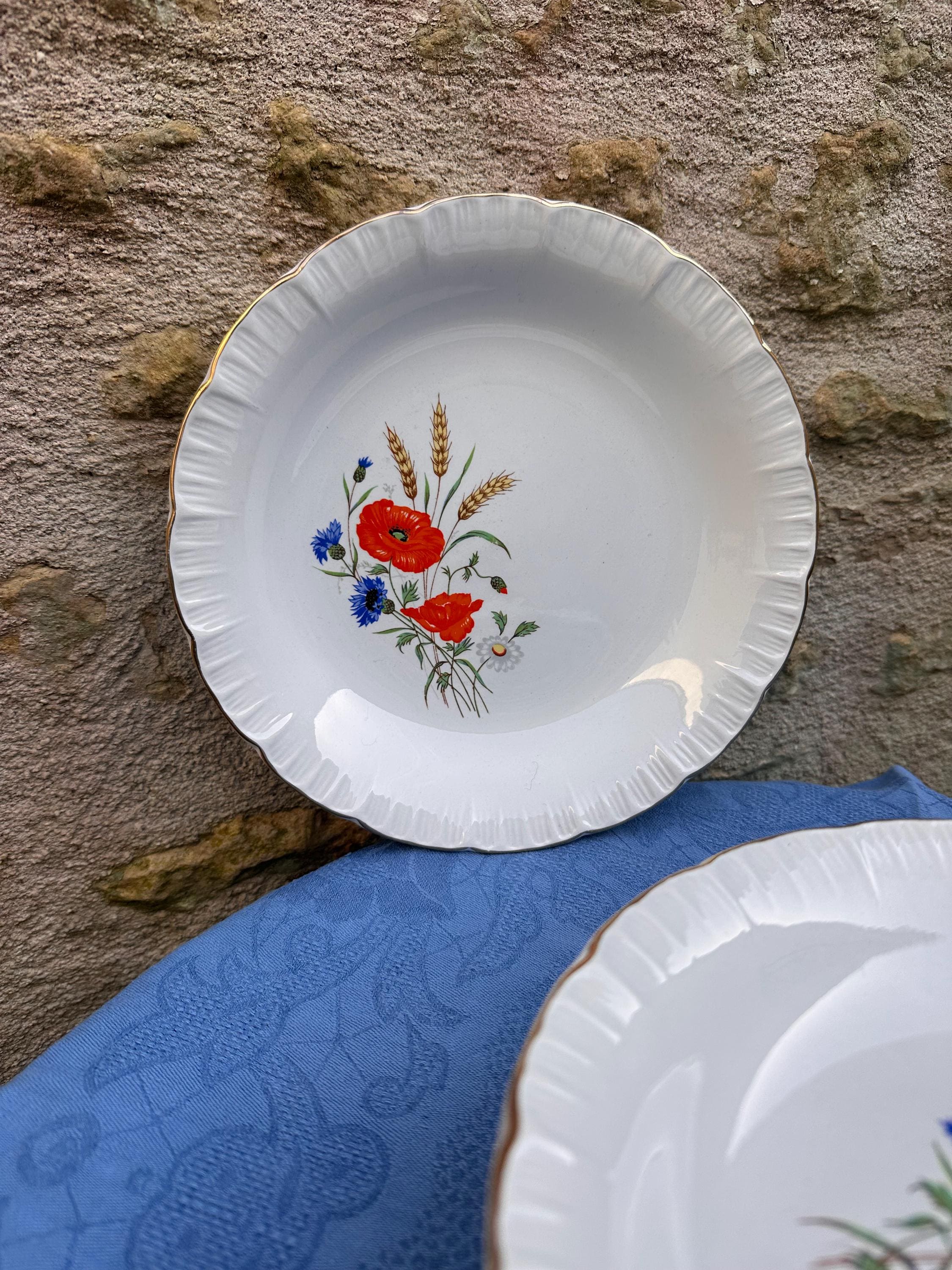 Antique Digoin & Sarreguemines Soup Plates – Rapsodie Model Set of 8