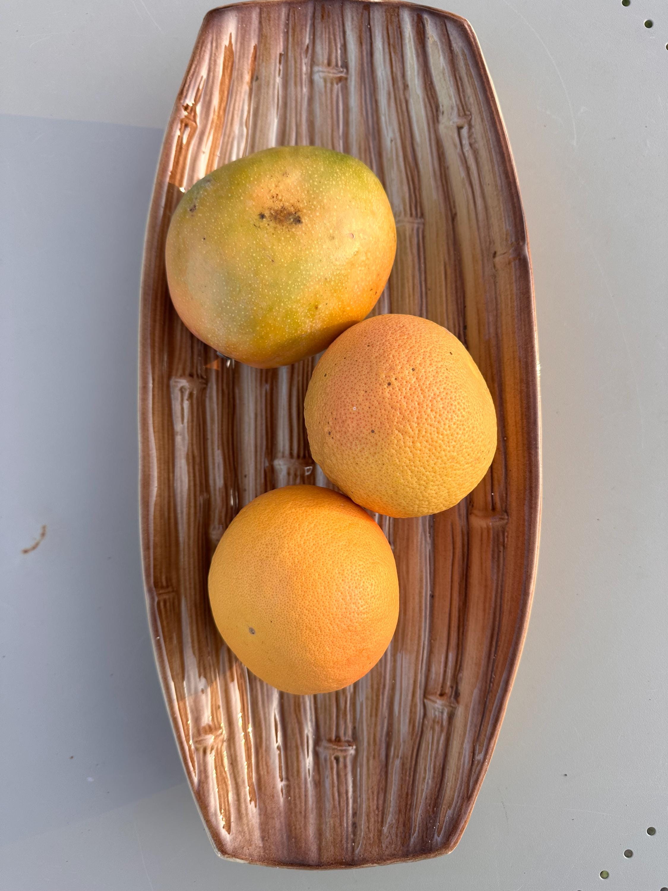 Large antique earthenware serving dish – Saint-Clément "Bamboo"