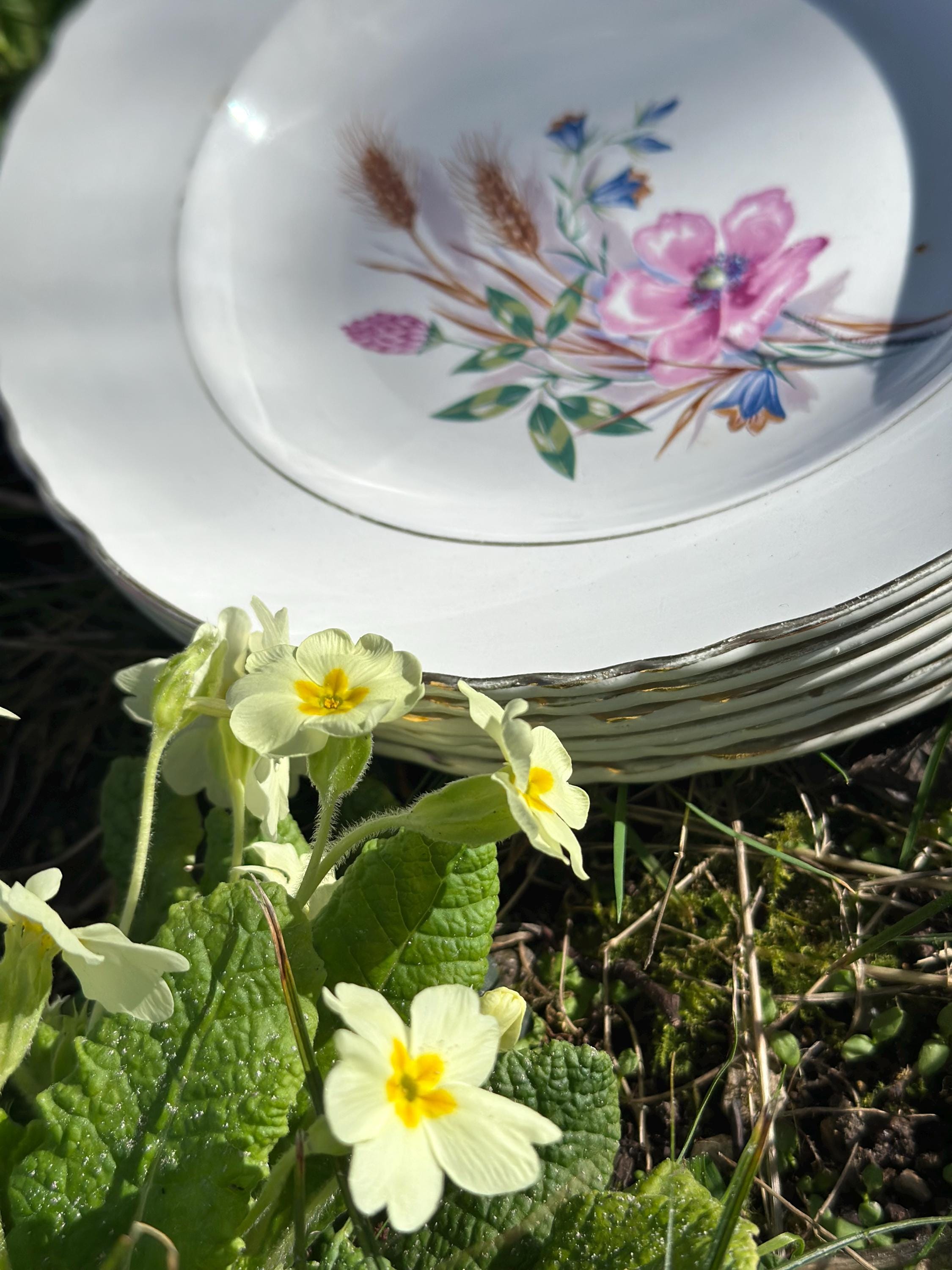 6 assiettes creuses anciennes en porcelaine – Décor champêtre et blé