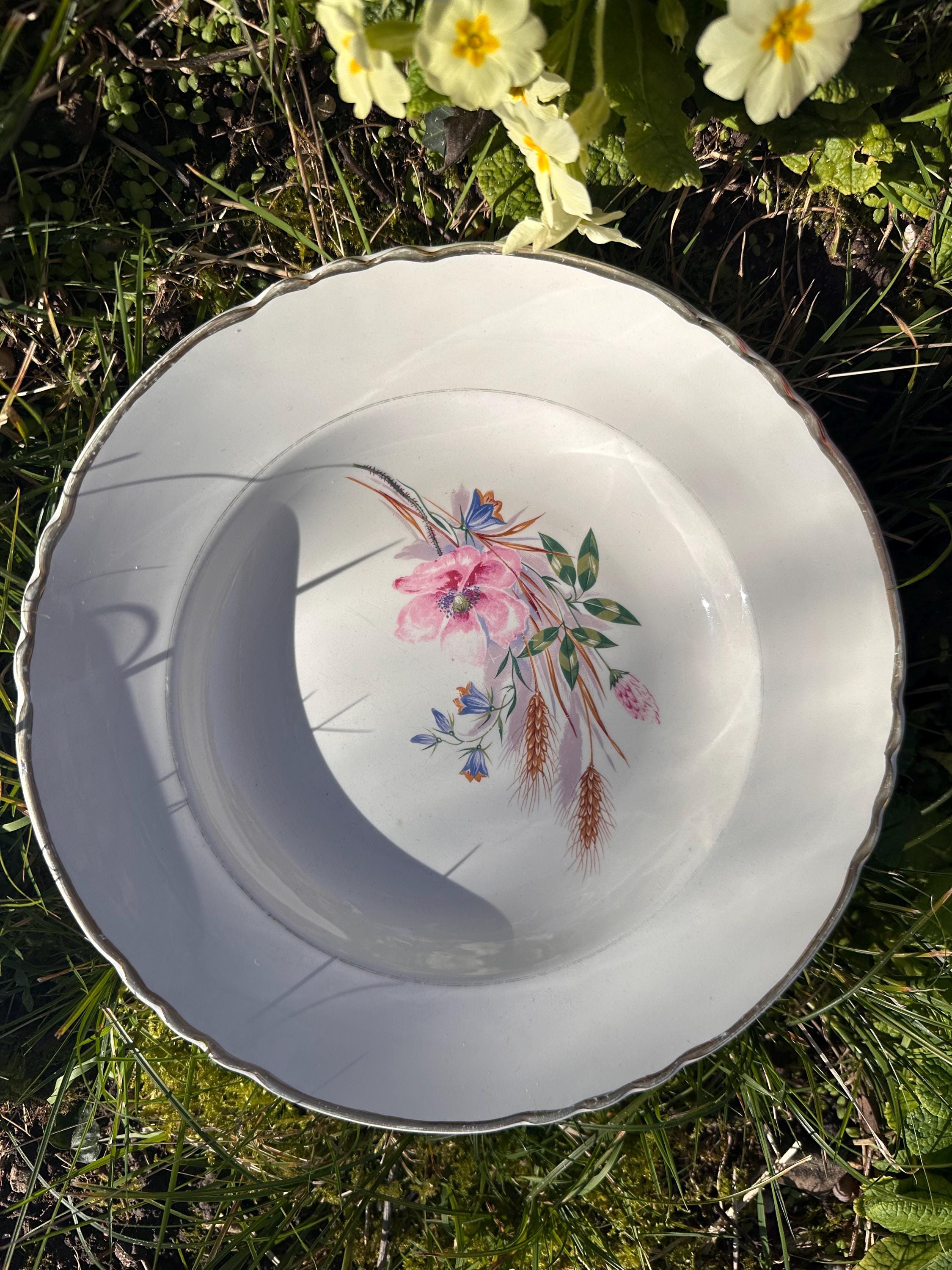 6 assiettes creuses anciennes en porcelaine – Décor champêtre et blé