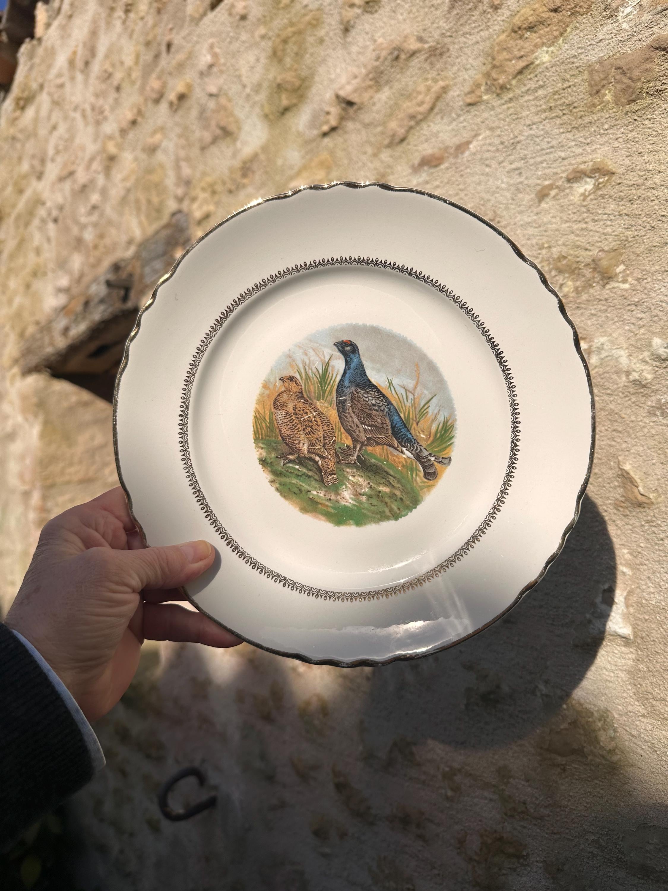 Lot de 10 Assiettes à Gibier Moulin des Loups Orchies, Décor Oiseaux de Chasse