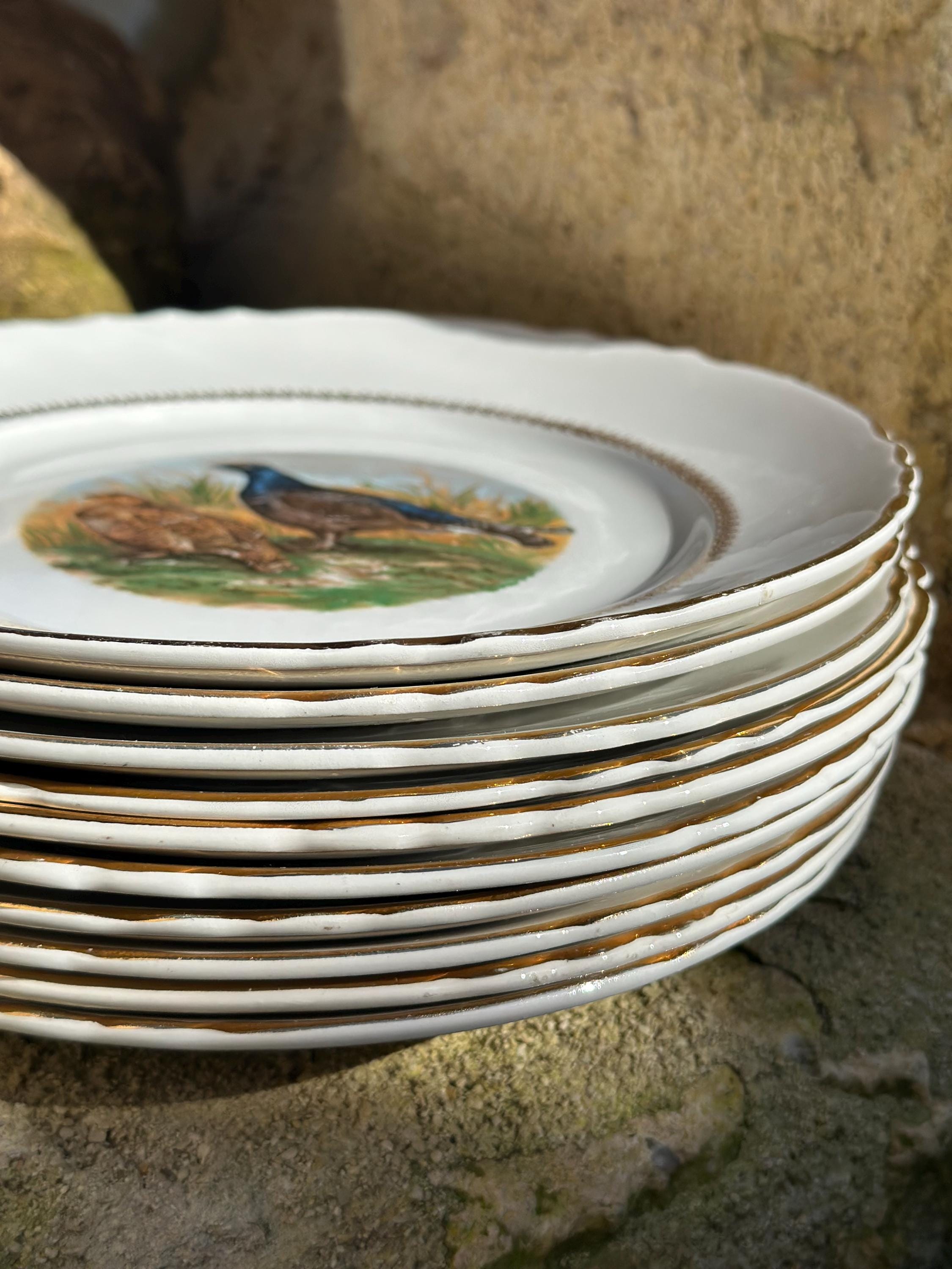 Lot de 10 Assiettes à Gibier Moulin des Loups Orchies, Décor Oiseaux de Chasse