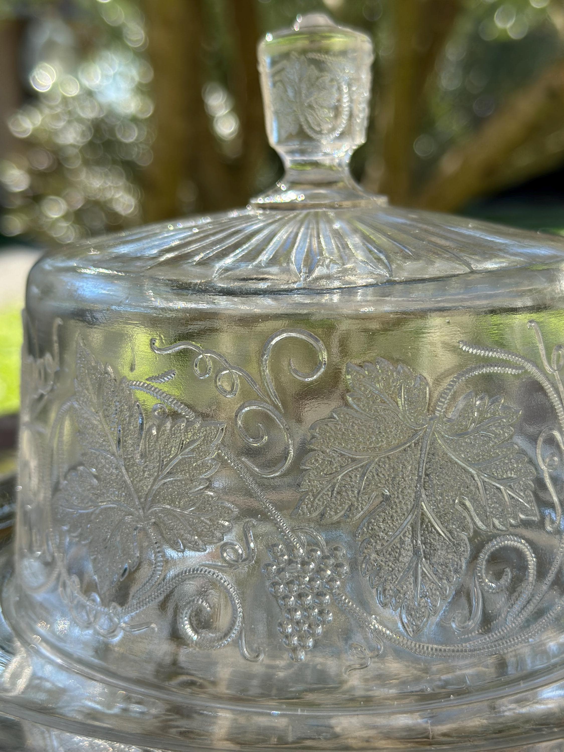 Cloche à fromage ancienne en verre pressé – Motif vignes