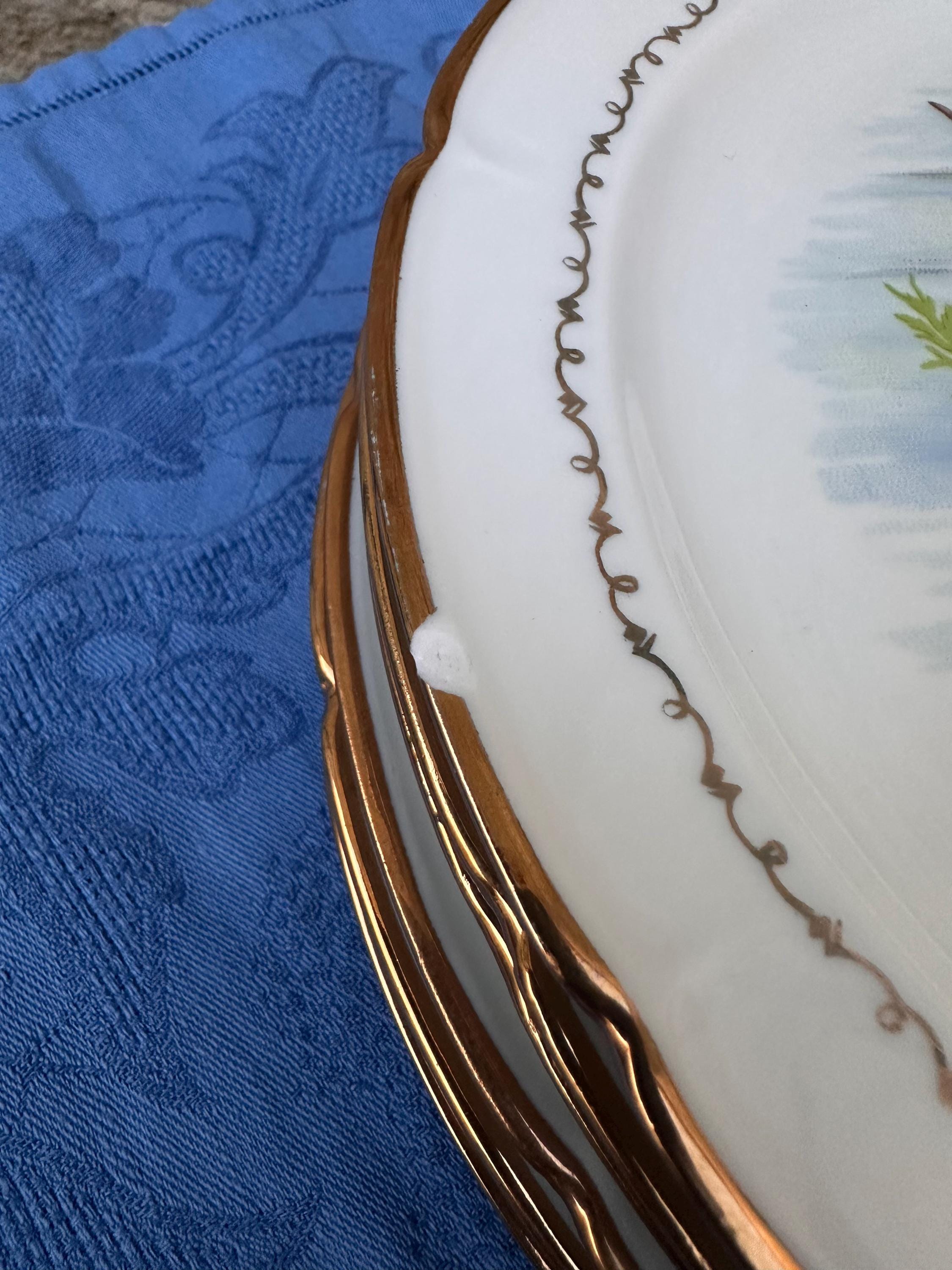 Set of 5+1 Vintage Porcelain Fish Plates with Gold Trim