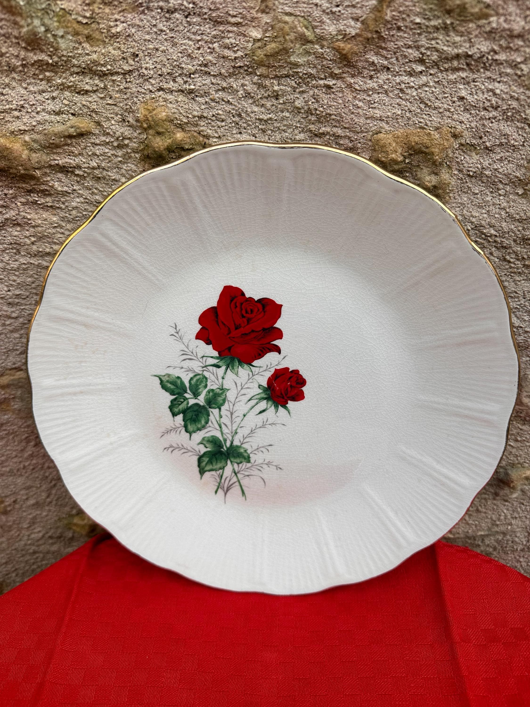 5 assiettes creuses anciennes Saint-Amand – Modèle Claudia