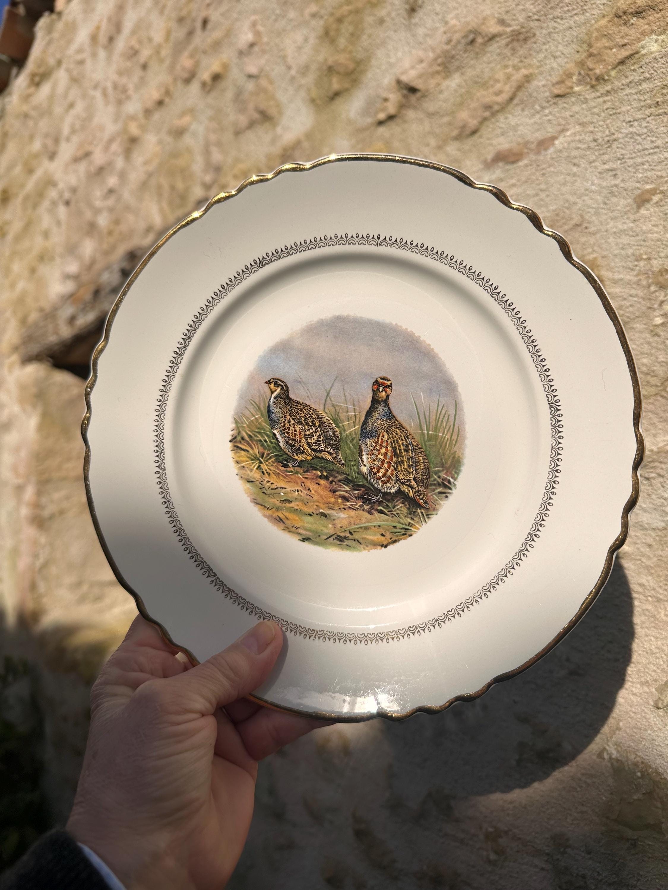 Lot de 10 Assiettes à Gibier Moulin des Loups Orchies, Décor Oiseaux de Chasse