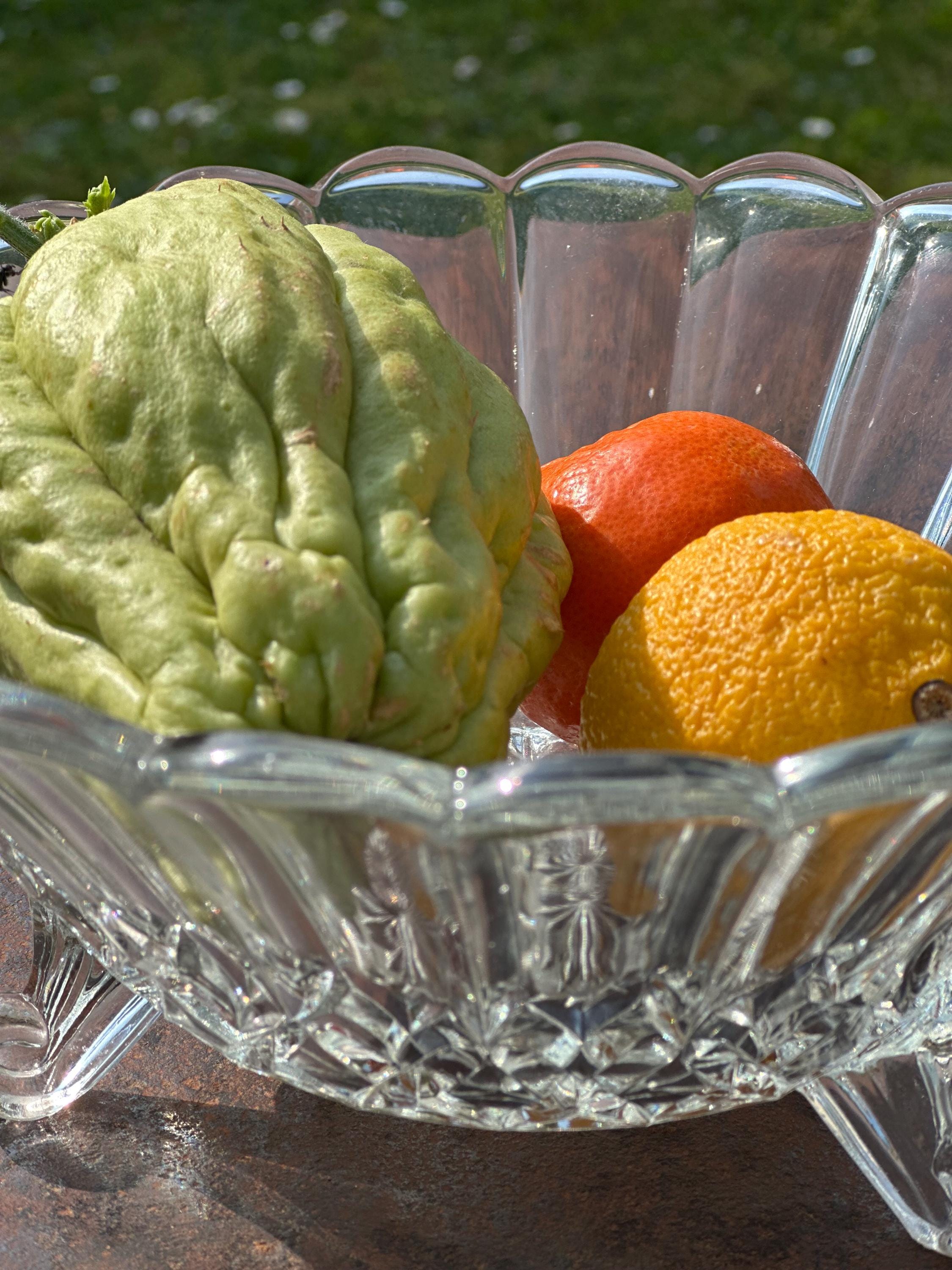 Coupe à fruits tripode en verre vintage – Design rétro