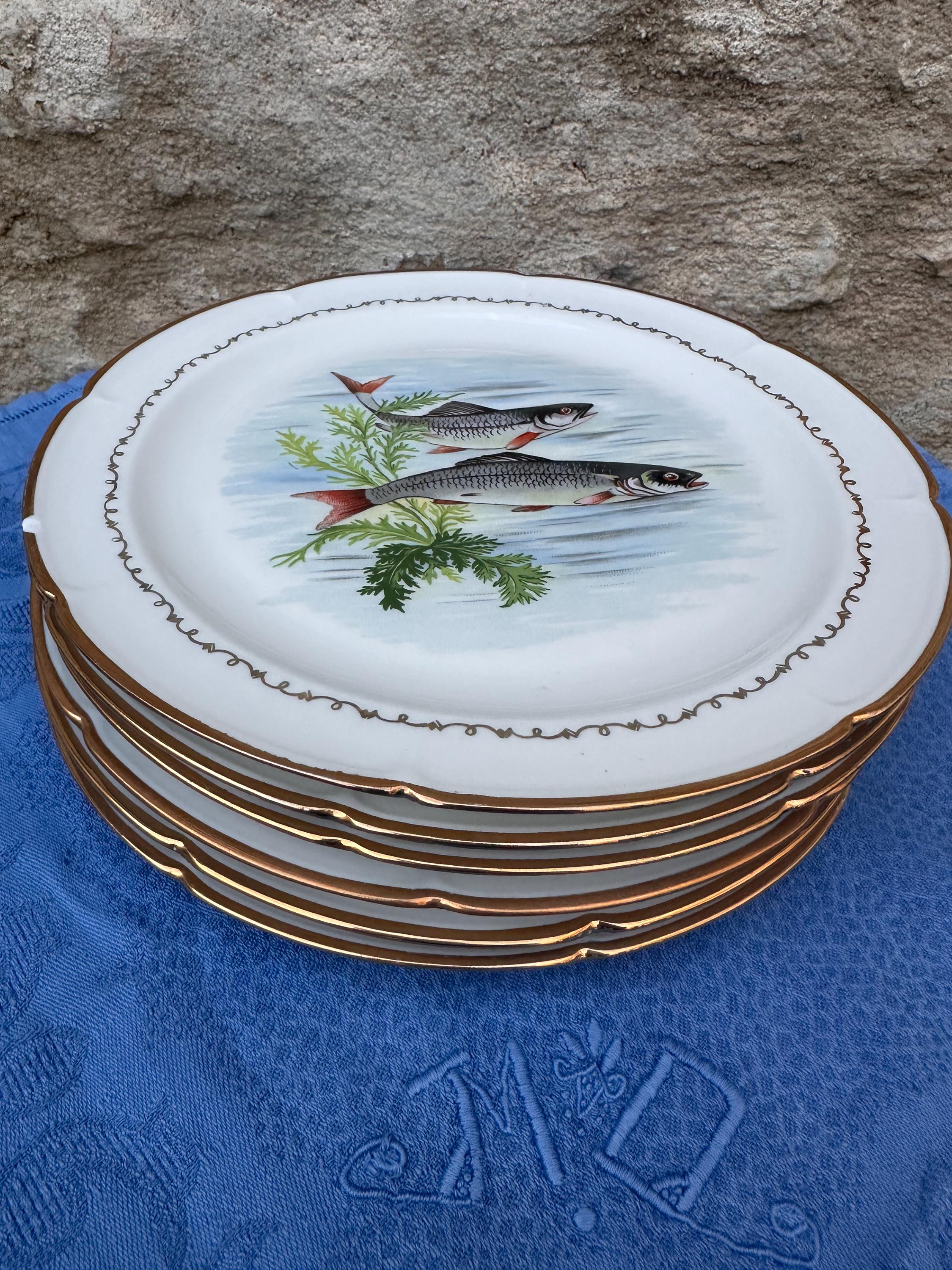 Set of 5+1 Vintage Porcelain Fish Plates with Gold Trim