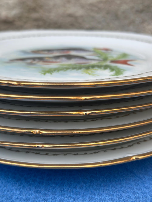 6 antique porcelain fish plates – Aquatic decorations