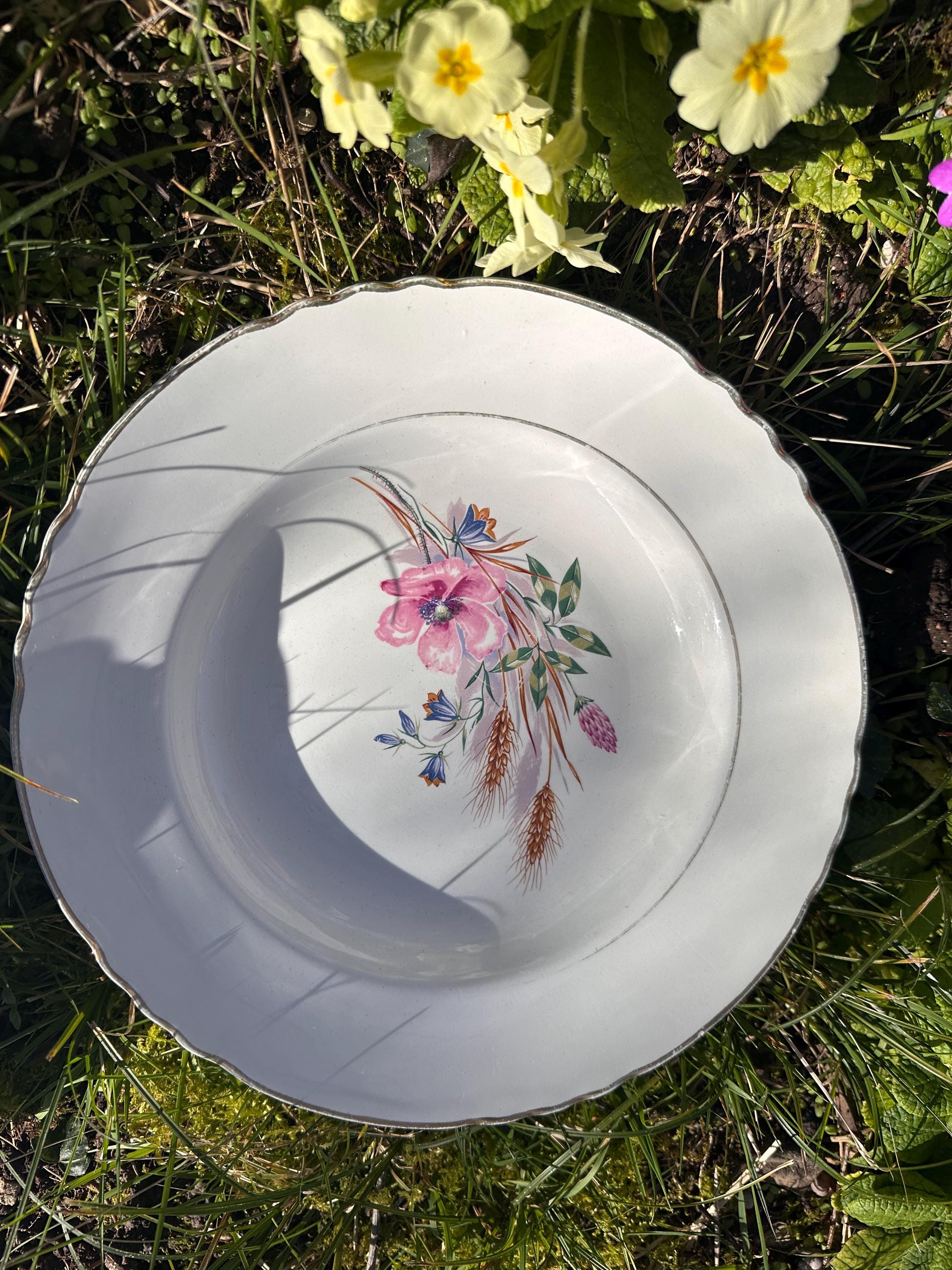 6 assiettes creuses anciennes en porcelaine – Décor champêtre et blé