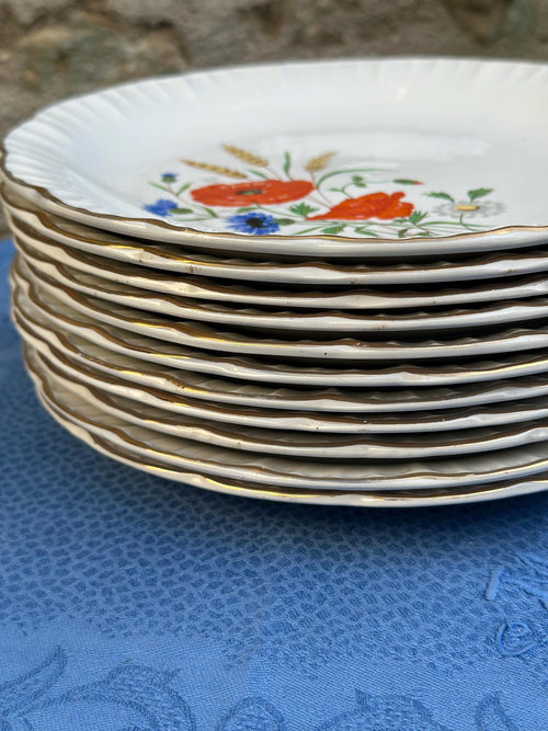 7 vintage Digoin & Sarreguemines dinner plates – Rapsodie model