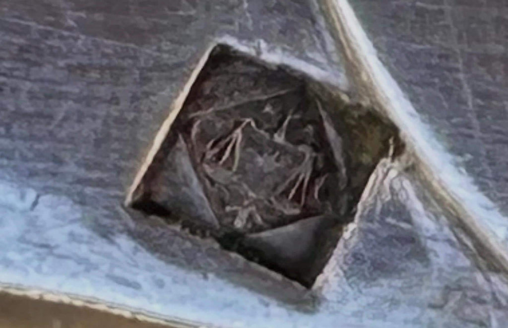 Pince à sucre ancienne Christofle – Style Louis XV monogrammée