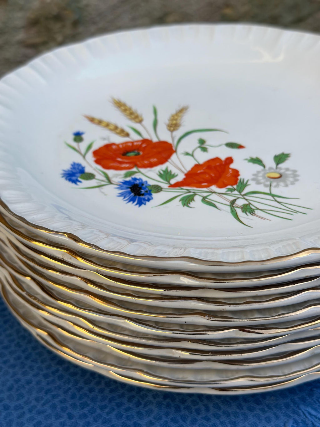 8 assiettes plates Digoin & Sarreguemines – Modèle Rapsodie